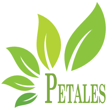 Caisse Petales
